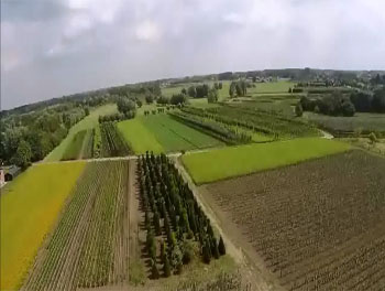 luchtfoto bomen